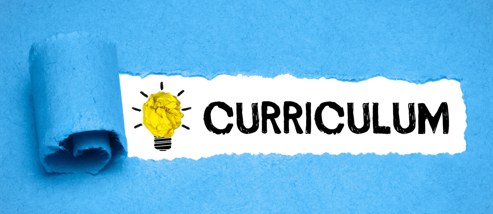 Curriculum review process