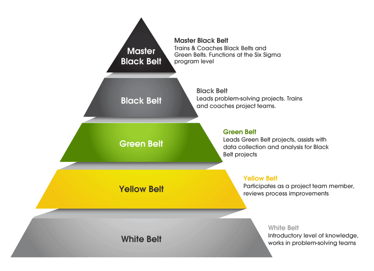 Lean Six Sigma belt levels certification